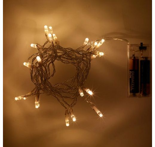 Battery Operated LED Fairy Lights, Warm White 20 Bulb Static by Lights4fun