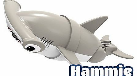 Lil Fishy Hammie