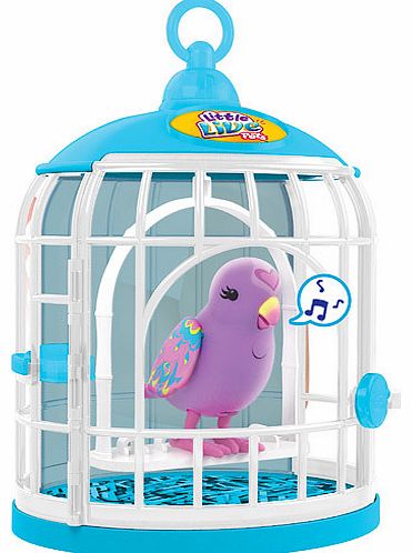 Bird Cage with Beauty Bella
