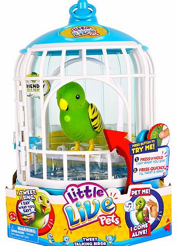 Little Live Pets Bird Cage with Friendly Frankie