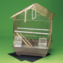 bird cage starter kit
