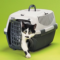 Littlewoods-Index small pet carrier