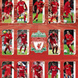 Liverpool F/C Squad Profiles