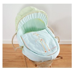 Will I Be Big One Day Moses Basket