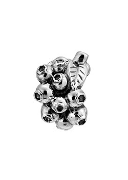Silver Blueberries Charm 1180139