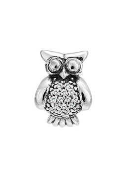 Silver Clever You Owl Charm 1182537-75