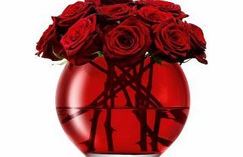 Milo Vase Red Vase- 16cm