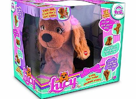 Lucy the Dog Soft Toy