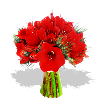 Luxury Red Amaryllis Bouquet - flowers
