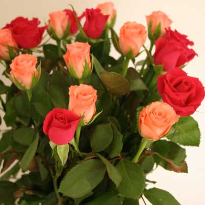 Red and Orange Roses