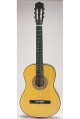 LXDirect guitar outfit