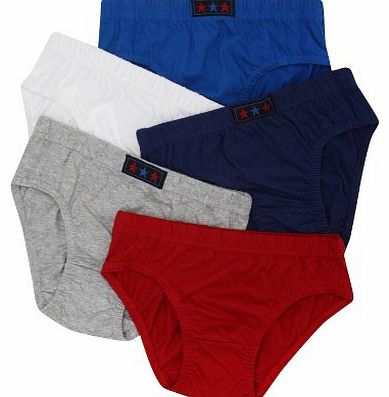 Boys Five Pack Of Brightly Colours Classic Cotton Basic Briefs Multicolour 11/12 Yr