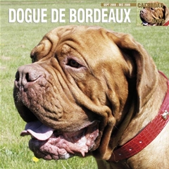 Dogue De Bordeaux Wall Calendar: 2009