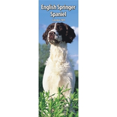 English Springer Spaniel Slim Calendar: 2009