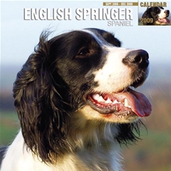 English Springer Spaniel Wall Calendar: 2009
