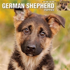 German Shepherd Puppy Wall Calendar: 2009