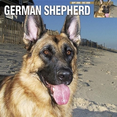 German Shepherd Wall Calendar: 2009