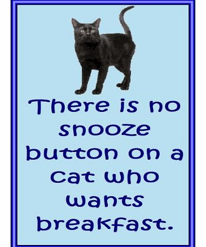 magnetsandhangers American Bombay cat - Novelty Cat Fridge Magnets - Snooze - gifts for cat owners