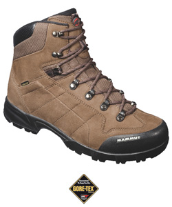 Mammut Explorer GTX Boot