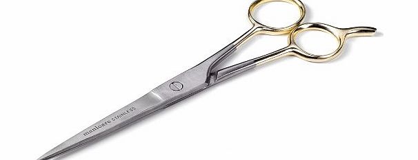 16.5cm Hairdressing Scissors