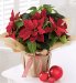 Gift-Wrapped Poinsettia