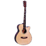 Smith W401E Electro Acoustic Guitar