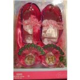 mattel Barbie Island Princess Rosella Fancy Ballet Slippers