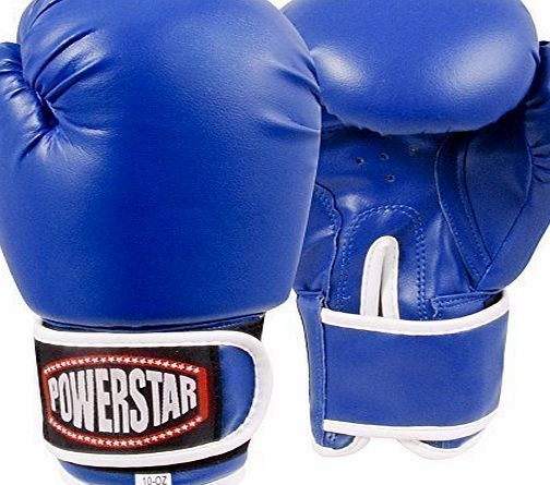 Max Strength 10oz Boxing Gloves Rex Leather Blue.