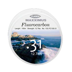Flurocarbon - 100m - 12.7lb