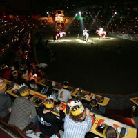 Medieval Times Dinner Show - Florida Medieval Times Dinner Show