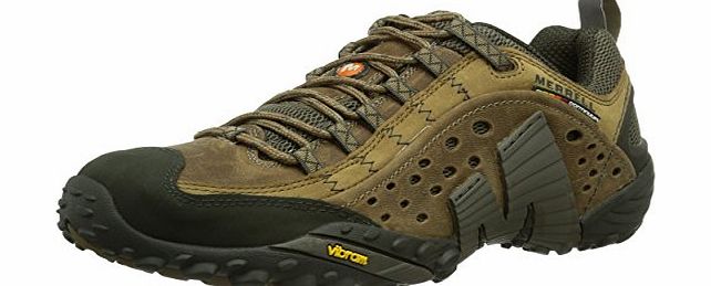 Intercept, Men Low Rise Hiking Shoes, Brown (Moth Brown), 11 UK (46 EU)