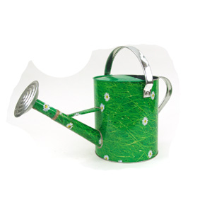 Metal Watering Can - Daisy