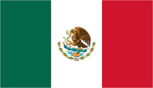 Mexico paper flag, 11`` x 8``