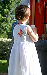 Embroidered Butterfly Party Dress