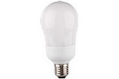 20873 / Energy Saving Lamp