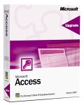 Access 2002 Version Upgrade