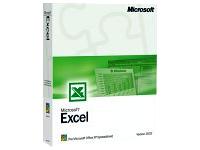 Microsoft MS Excel 2002