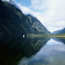 Milford Sound Full Day Tour and Cruise from Te