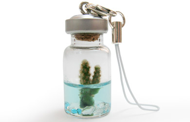 ature Pet Tree - A Real Plant On A Keyring