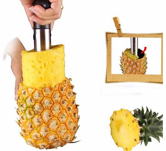 2014 New Kitchen Gadget Stainless Steel Pineapple Easy Slicer Craft Fruit Cutter and Corer