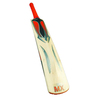 MITRE Icon MX Cricket Bat (C2039)