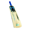 MITRE Revolve DX Cricket Bat (C2036)