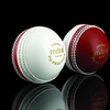Swing Cricket Ball (C1017)