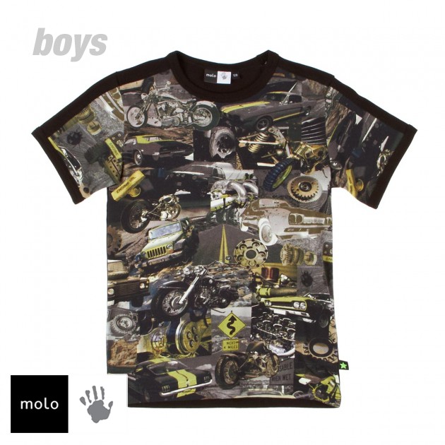 Boys Molo Remy T-Shirt - Cargo