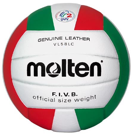 Molten  Volleyball (Size 5)