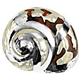 Sermanticus Natural Shell with Silver Ornaments
