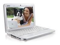 msi Wind U100 10 Mini Laptop - 3 Cell Battery - Windows XP Home - Pink