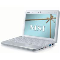 MSI WIND U90X 007UK-WT80B Laptop PC