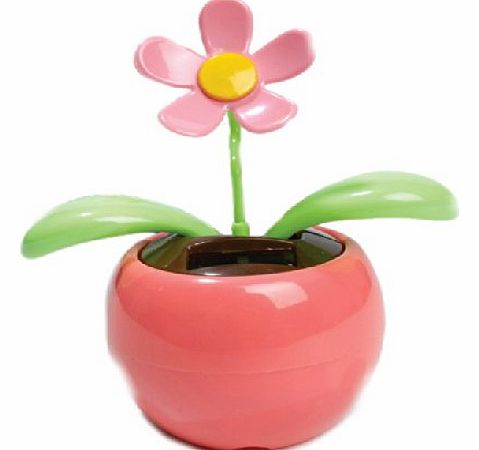 Solar Powered Dancing Flower Assorted Single supplied