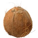 Natoora Coconut